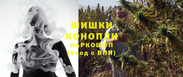 СК Слюдянка