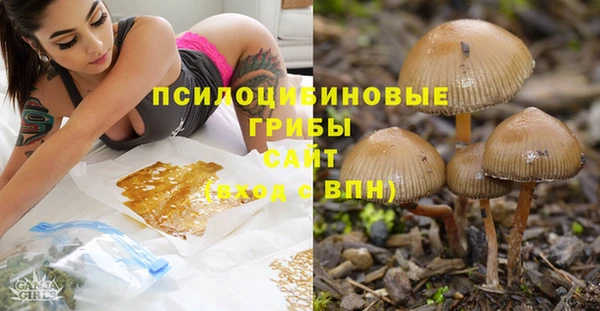 СК Слюдянка