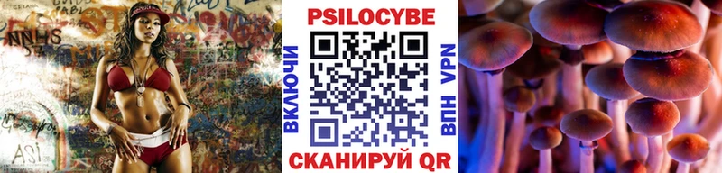 Купить где  Перевоз  Галлюциногенные грибы MAGIC MUSHROOMS 